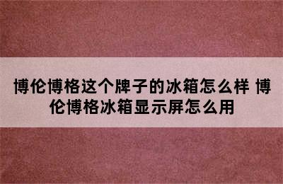 博伦博格这个牌子的冰箱怎么样 博伦博格冰箱显示屏怎么用